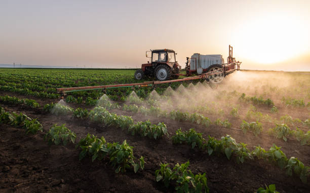 Pest Control Cost in Wilmington Island, GA