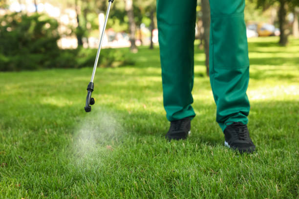 Best Pest Control for Homes  in Wilmington Island, GA