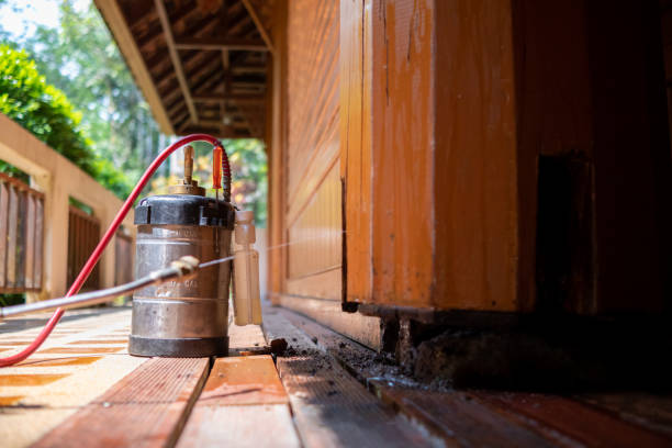 Pest Control for Restaurants in Wilmington Island, GA